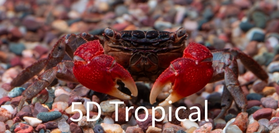 Picture of CRUSTACEAN-CRAB RED(NO CAN)