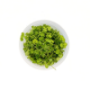 Picture of PLANT-MONTE CARLO-PORT 4OZ CUP 