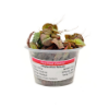 Picture of PLANT-RED ROOT FLOAT-PORT 4OZ CP