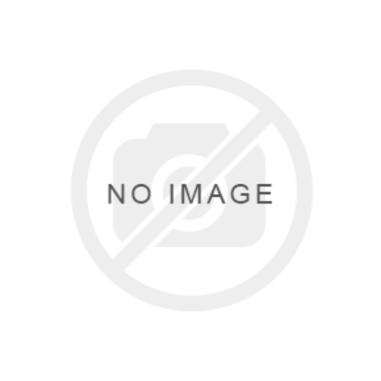 Picture of PLANT- ROSE XL